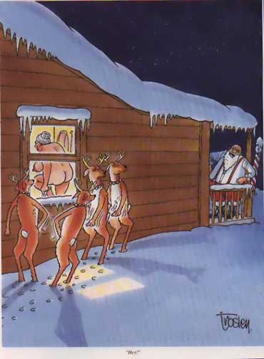 Анекдоти про Новий рік і Різдво