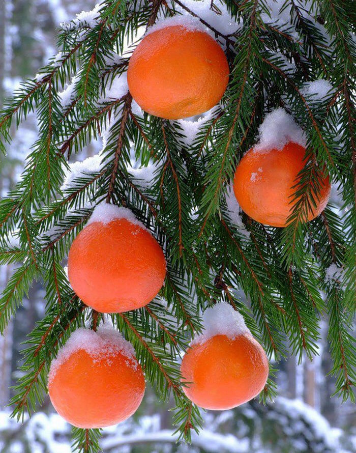 Анекдоти про Новий рік і Різдво