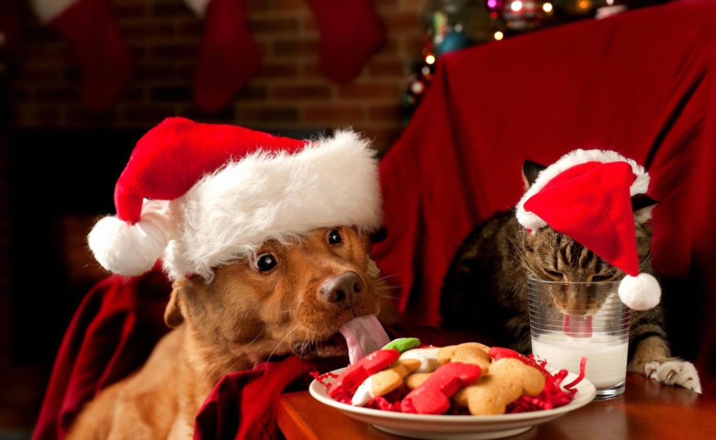 Анекдоти про Новий рік і Різдво