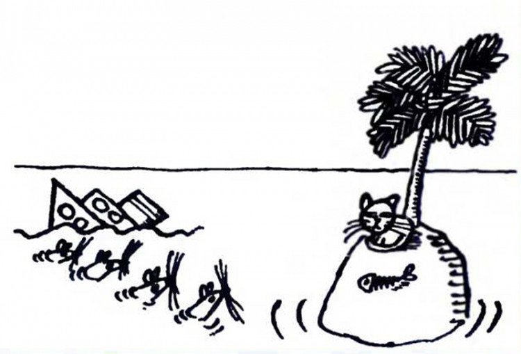 Анекдоти про безлюдний острів