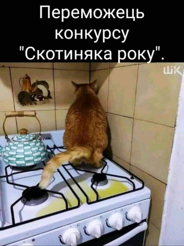 Анекдоти про Зайця