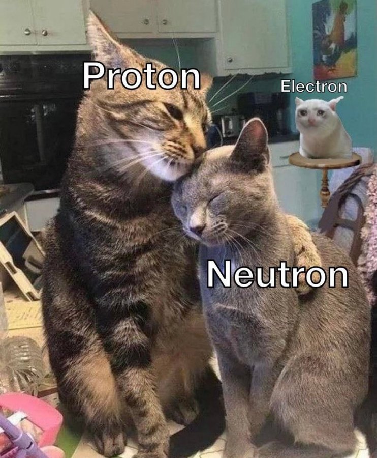 Анекдоти про психіатричну лікарню