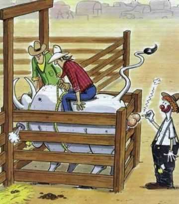 Анекдоти про кораблі