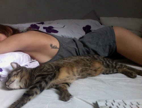 Анекдоти про росіян