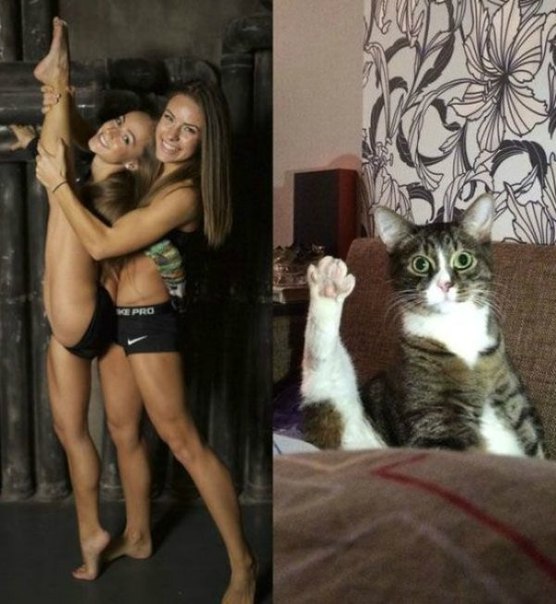 Анекдоти про Штірліца