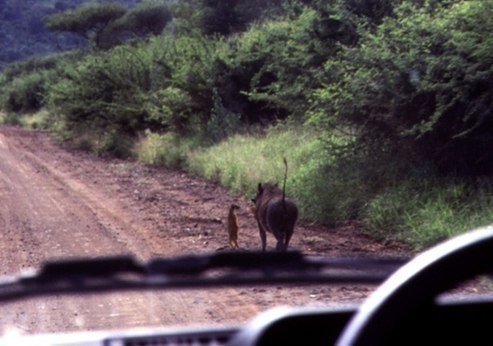 Анекдоти про суд