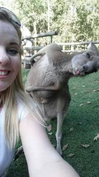 Кому заважав мішок на річці?