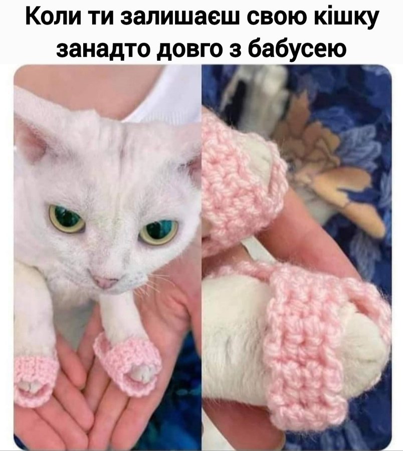 Анекдоти про літніх людей