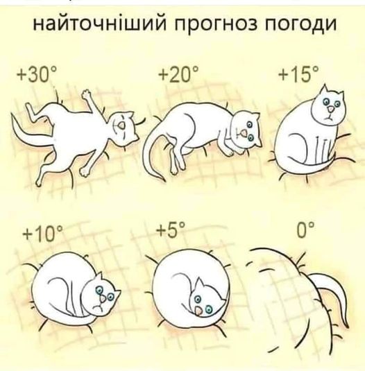 Анекдоти про погоду