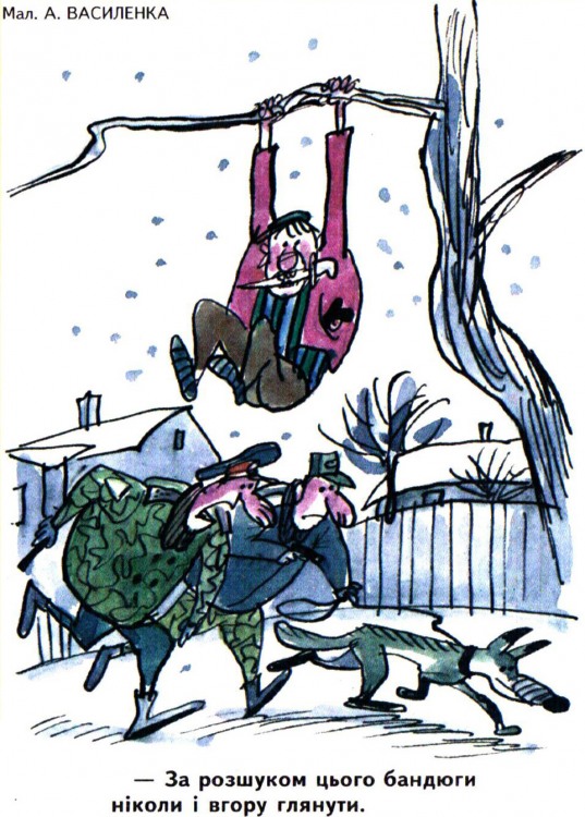 Анекдоти про поліцію