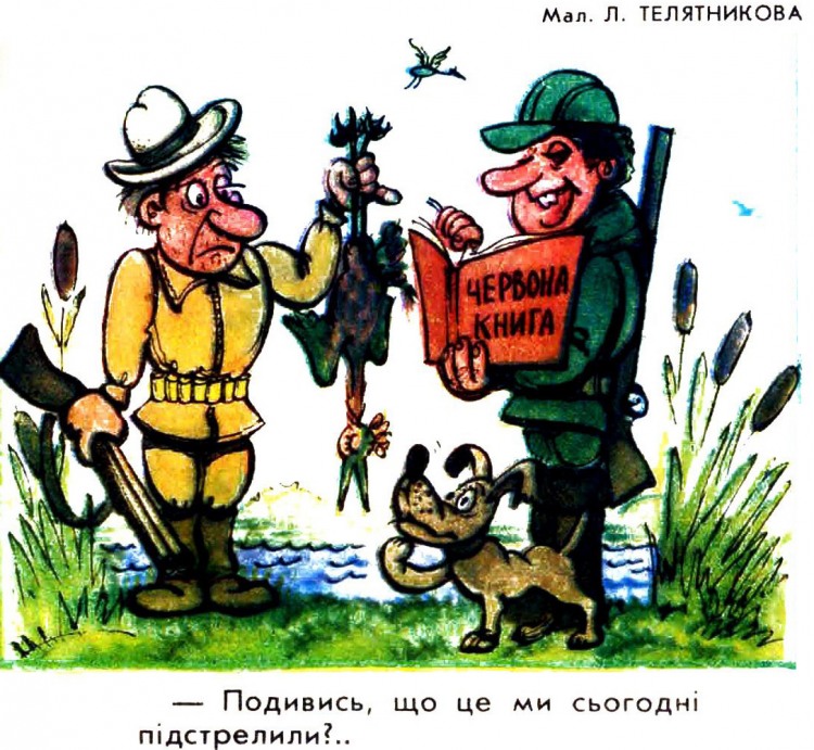 Анекдоти про полювання