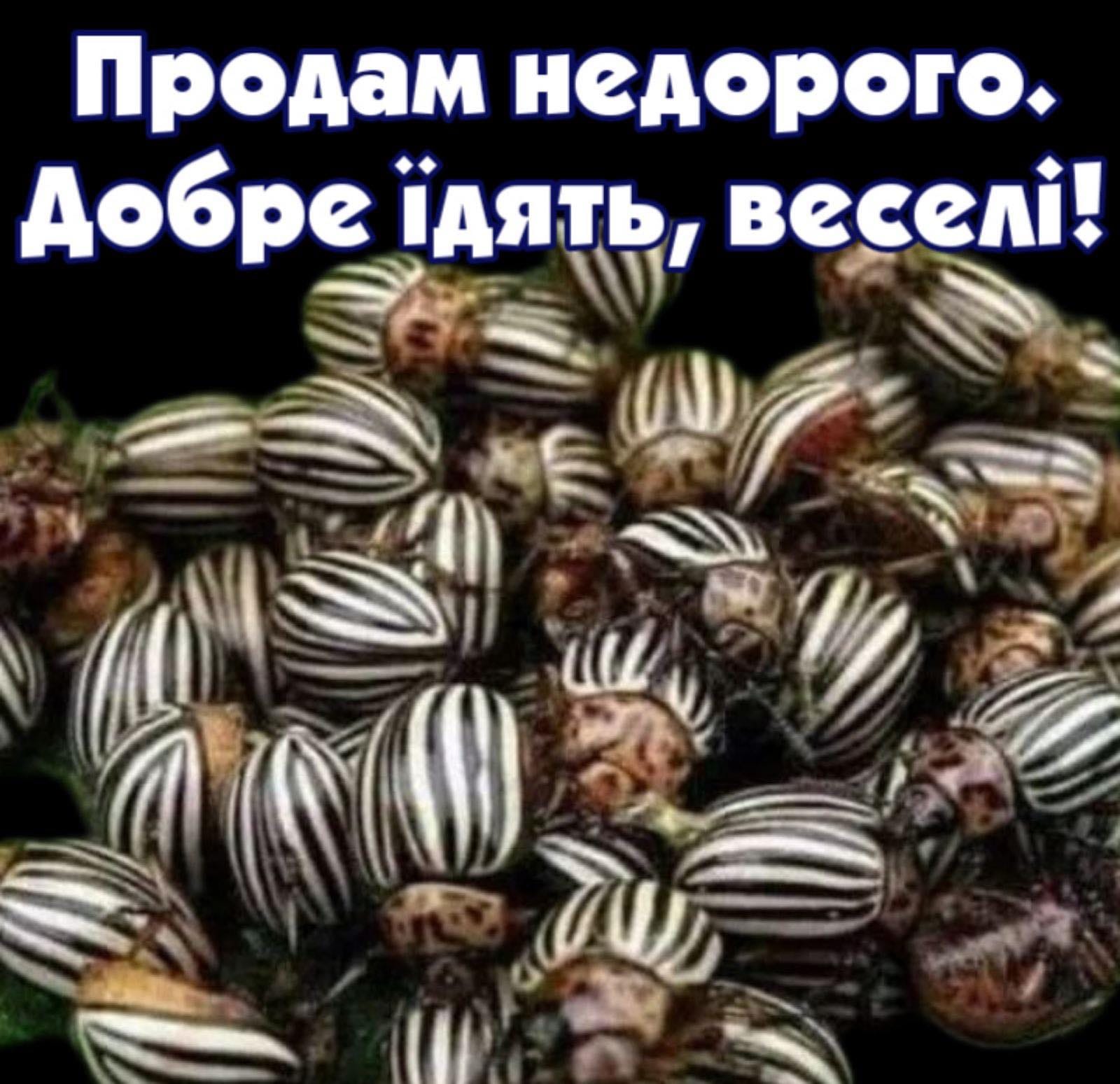 Анекдоти про село