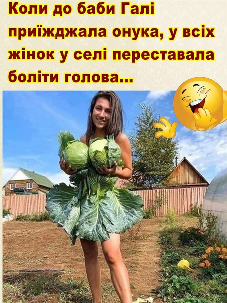 Анекдоти про село