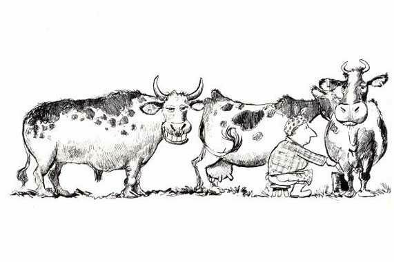 Анекдоти про село