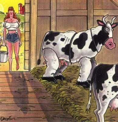 Анекдоти про село