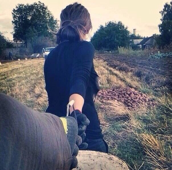 Анекдоти про село