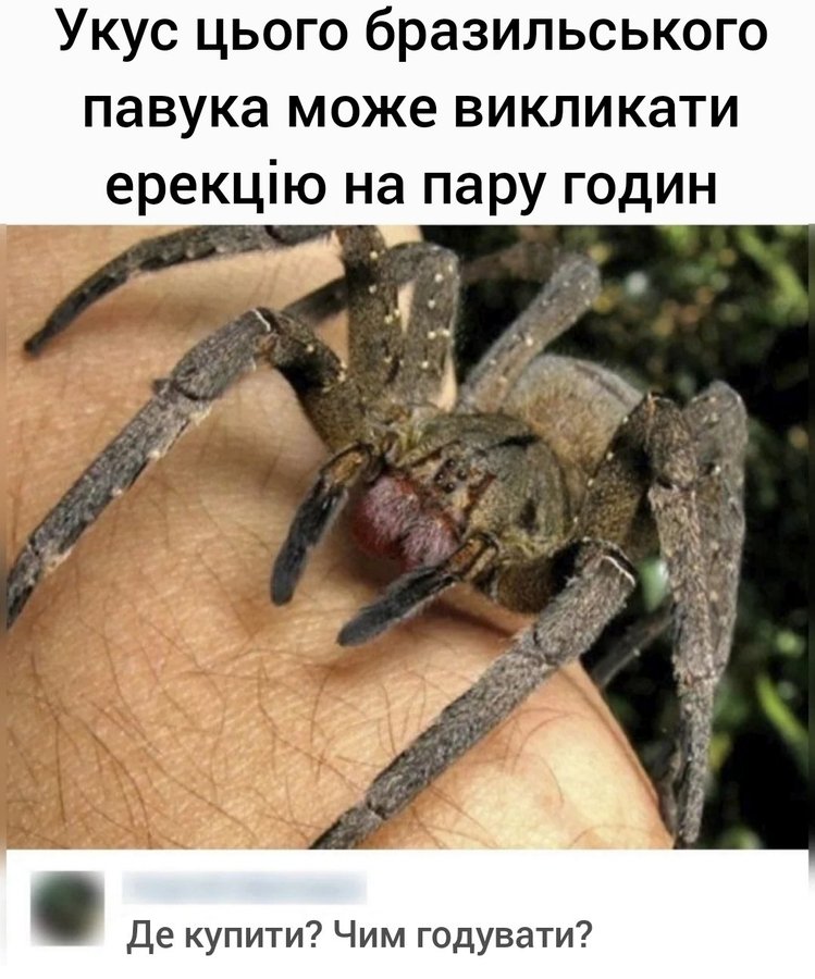 Анекдоти для дорослих