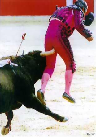 Анекдоти про спорт