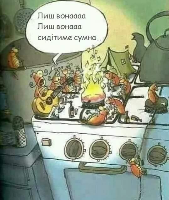 Анекдоти про студентів