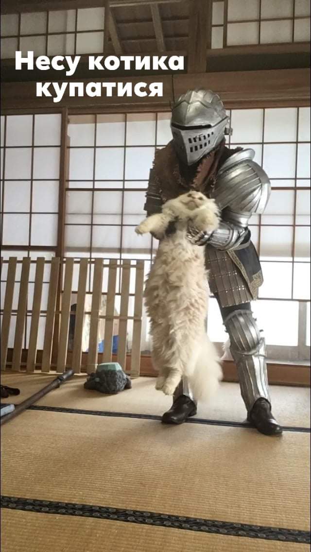 Анекдоти про тварин