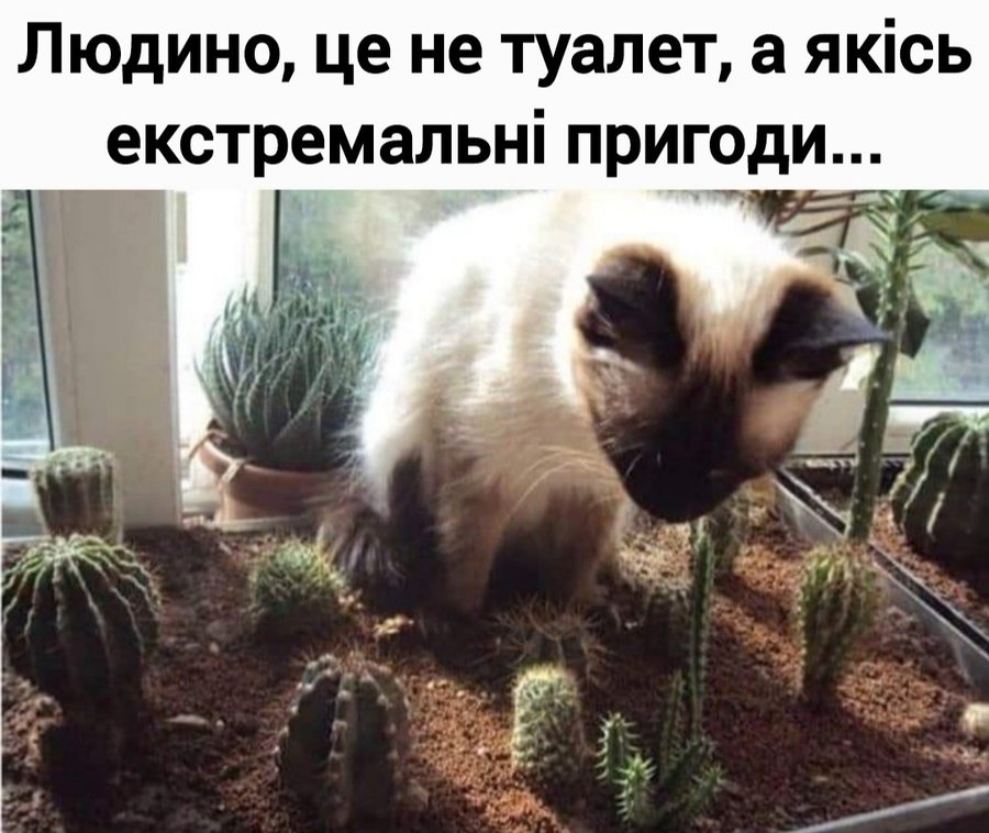 Анекдоти про тварин