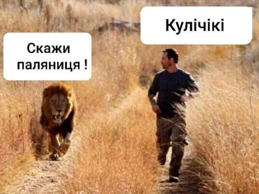 Анекдоти про Війну