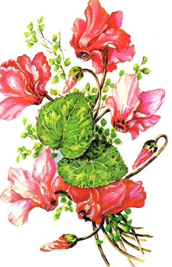 Привітання з 8 березня