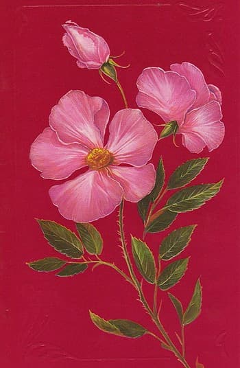 Привітання з 8 березня