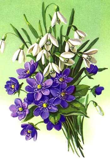 Привітання з 8 березня