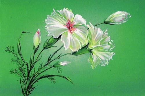 Привітання з 8 березня