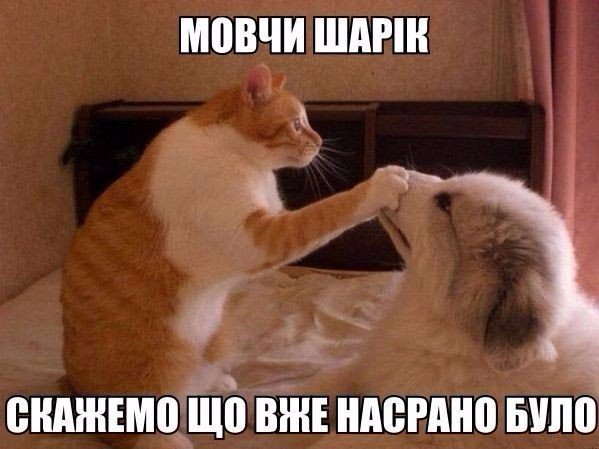 🐾 Цитати про тварин