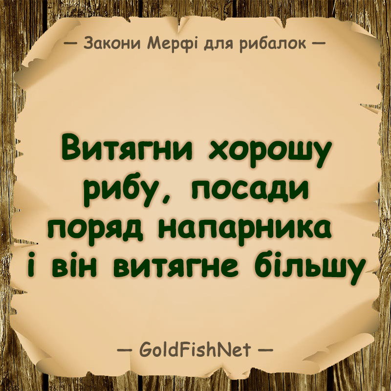 🐟 Цитати про риболовлю