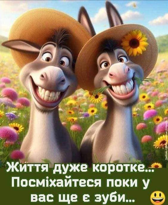 😀 Цитати про життя