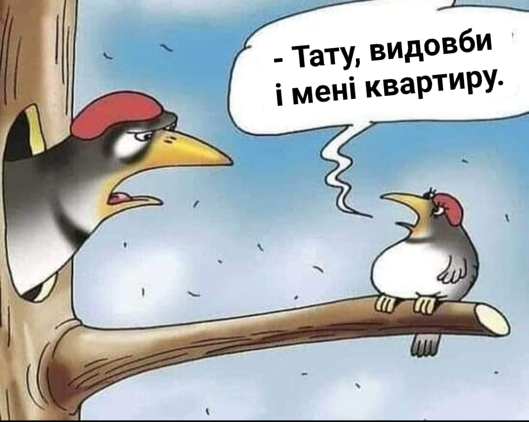 👨‍🍼 Анекдоти про Батька і сина