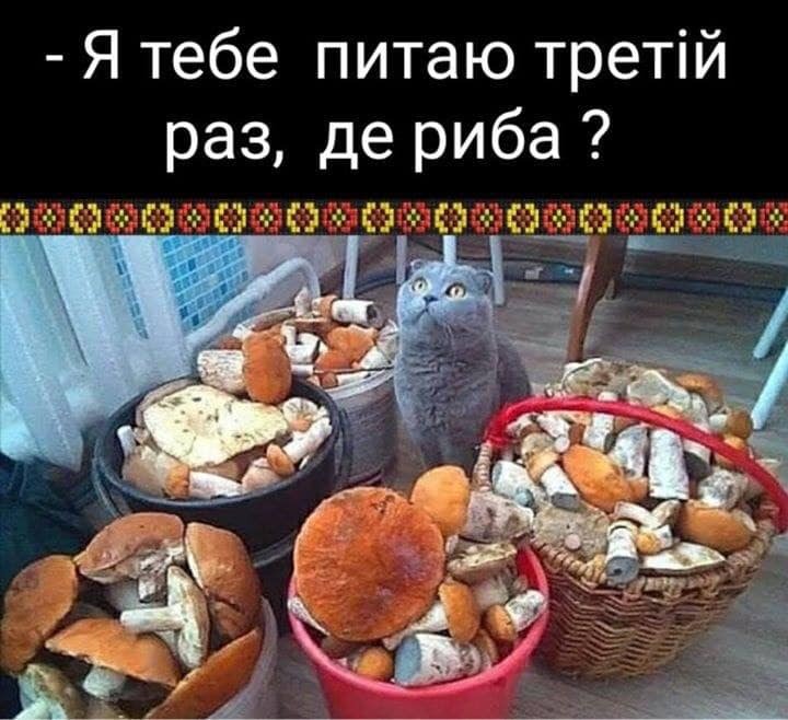 🎣 Анекдоти про риболовлю