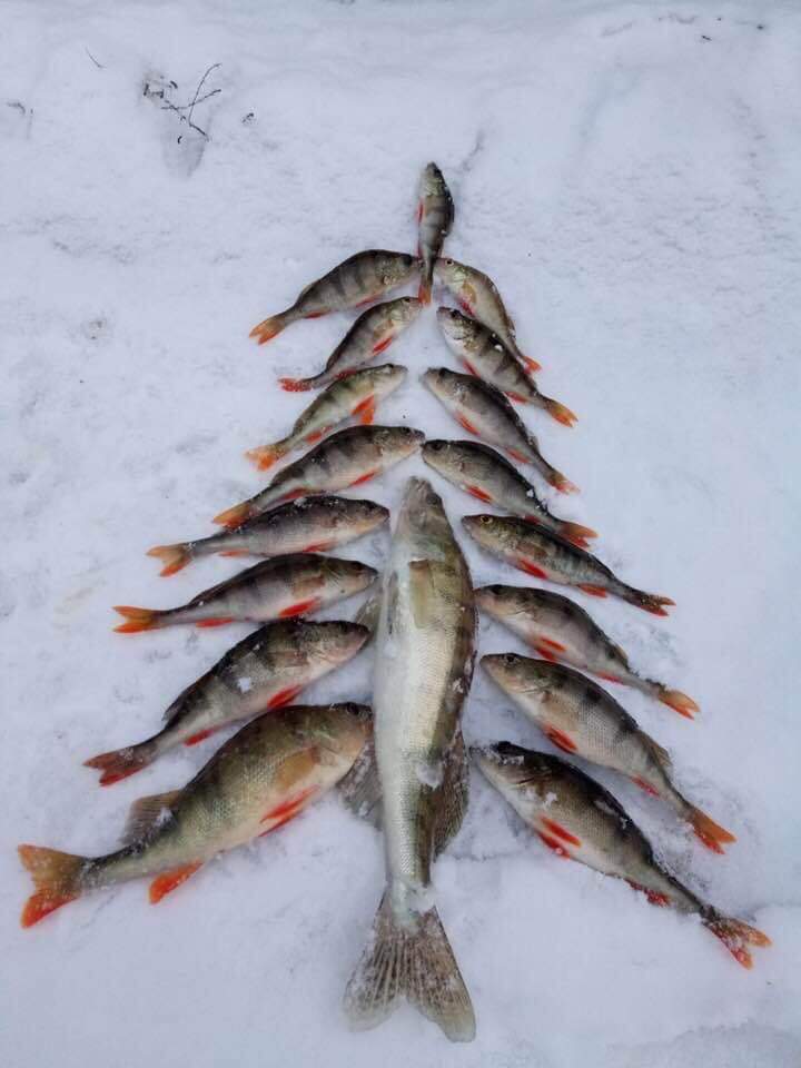 🎣 Анекдоти про риболовлю