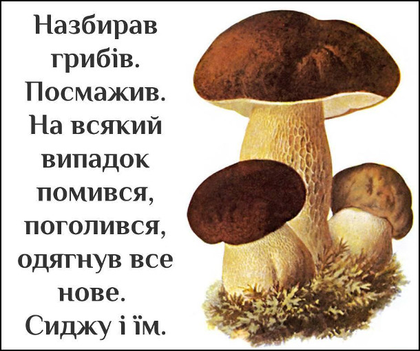 🍄 Анекдоти про гриби