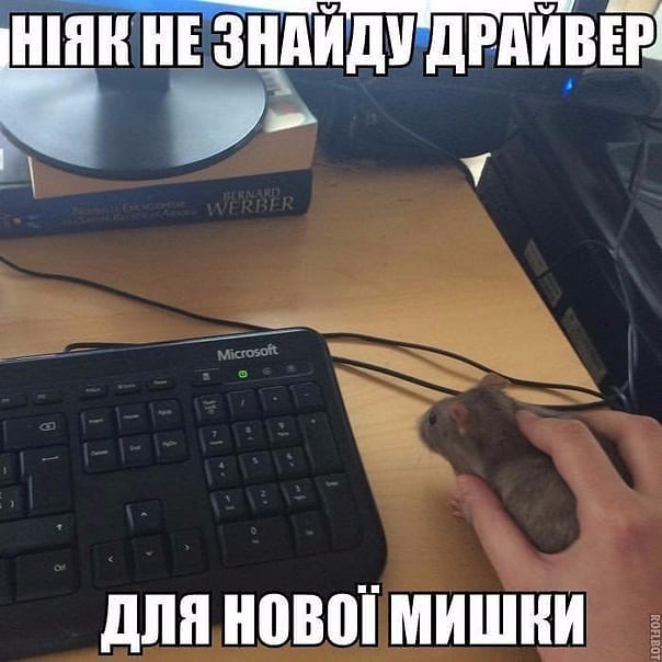 💻 Анекдоти про комп'ютери