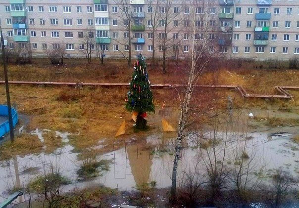 🎅 Анекдоти про Новий рік і Різдво