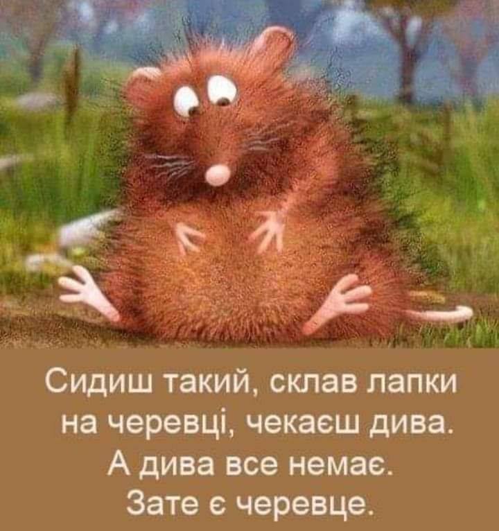 🐰 Анекдоти про Зайця