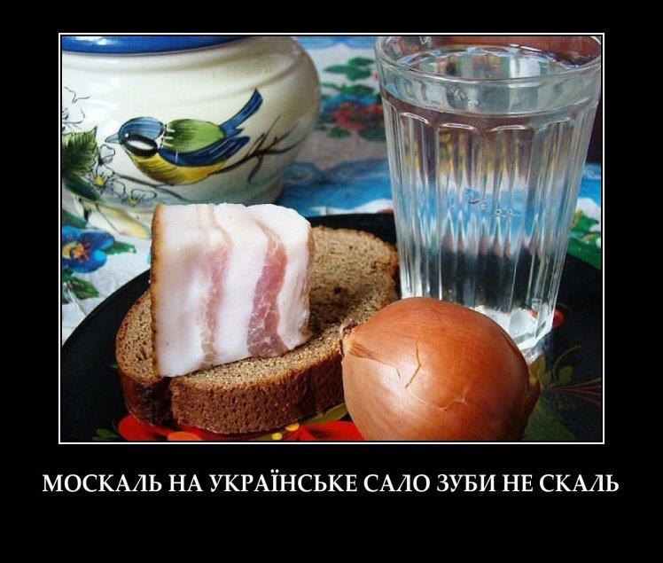 🐷 Анекдоти про сало