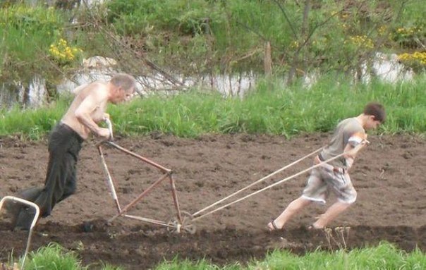 👩‍🌾 Анекдоти про село