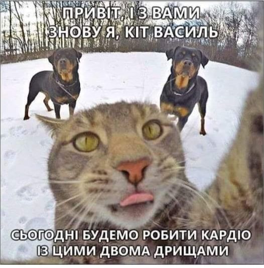 🐾 Анекдоти про тварин