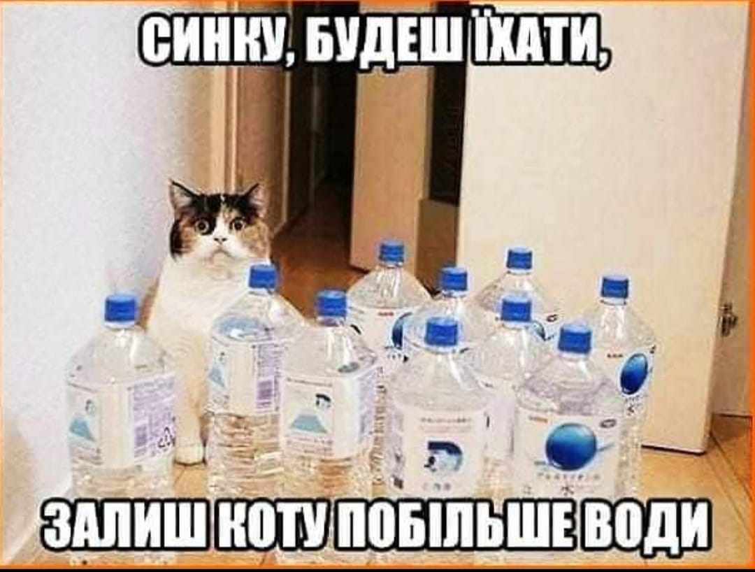 🐾 Анекдоти про тварин