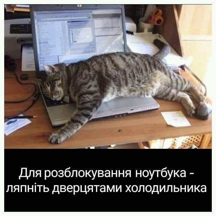 🐾 Анекдоти про тварин