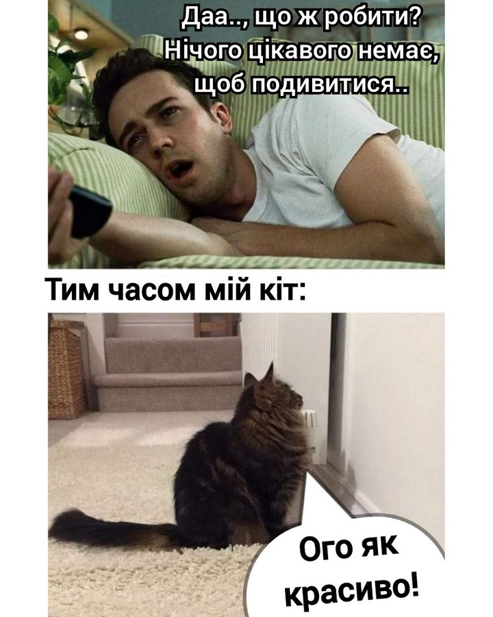 🐾 Анекдоти про тварин