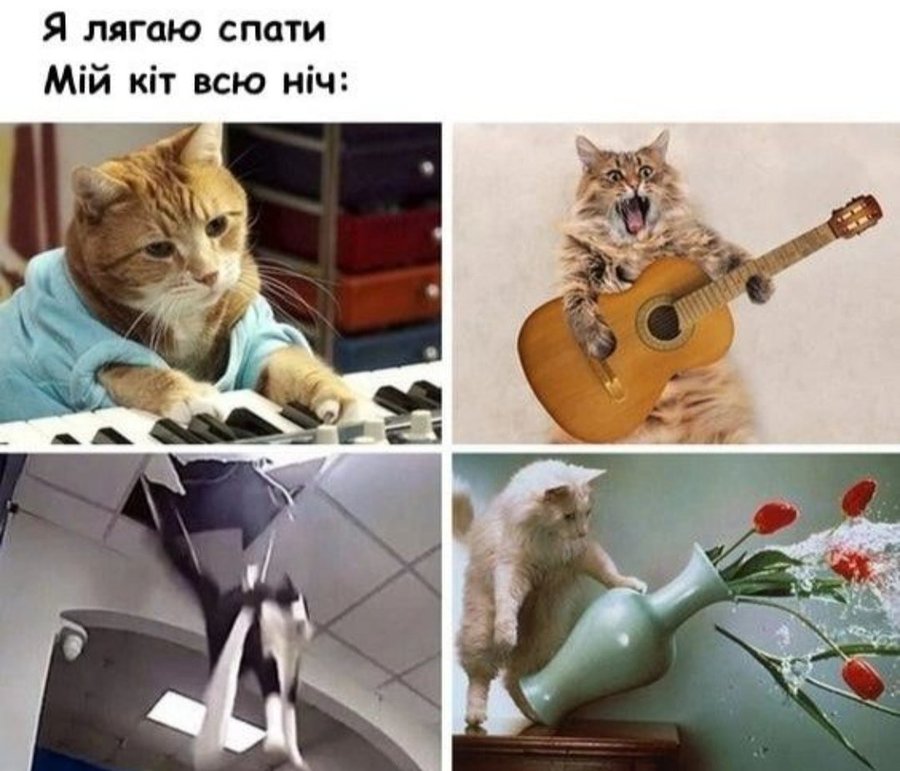 🐾 Анекдоти про тварин