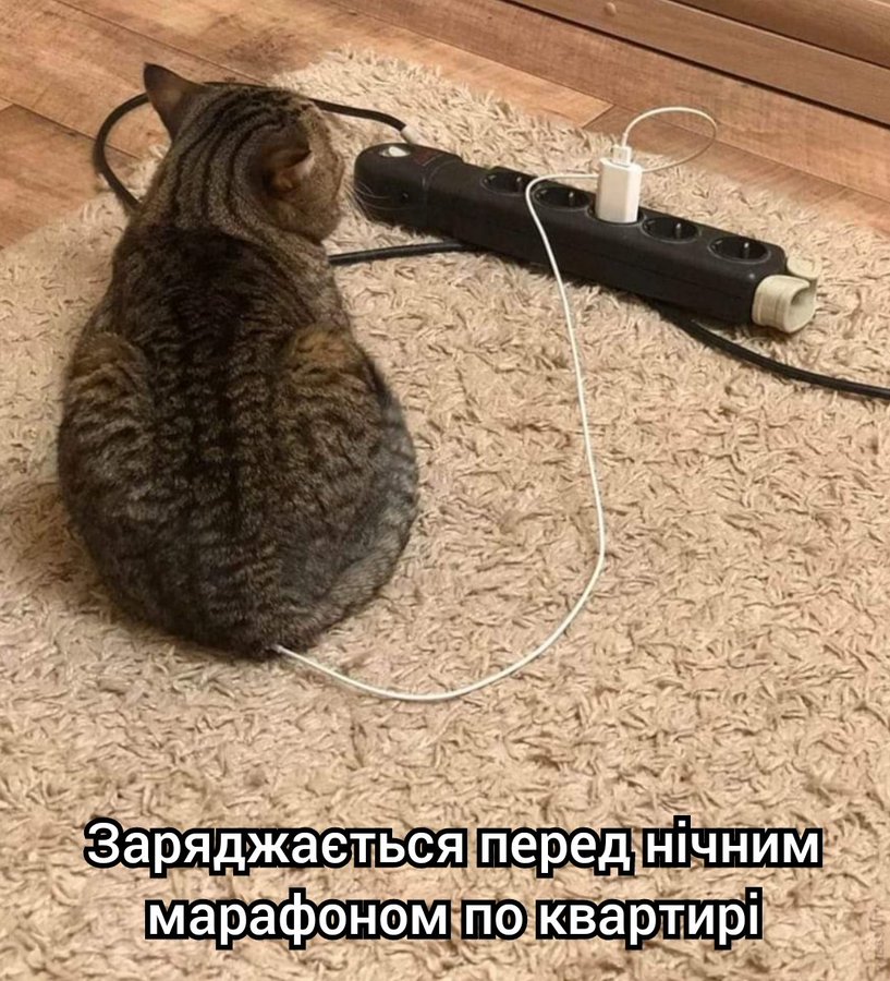 🐾 Анекдоти про тварин