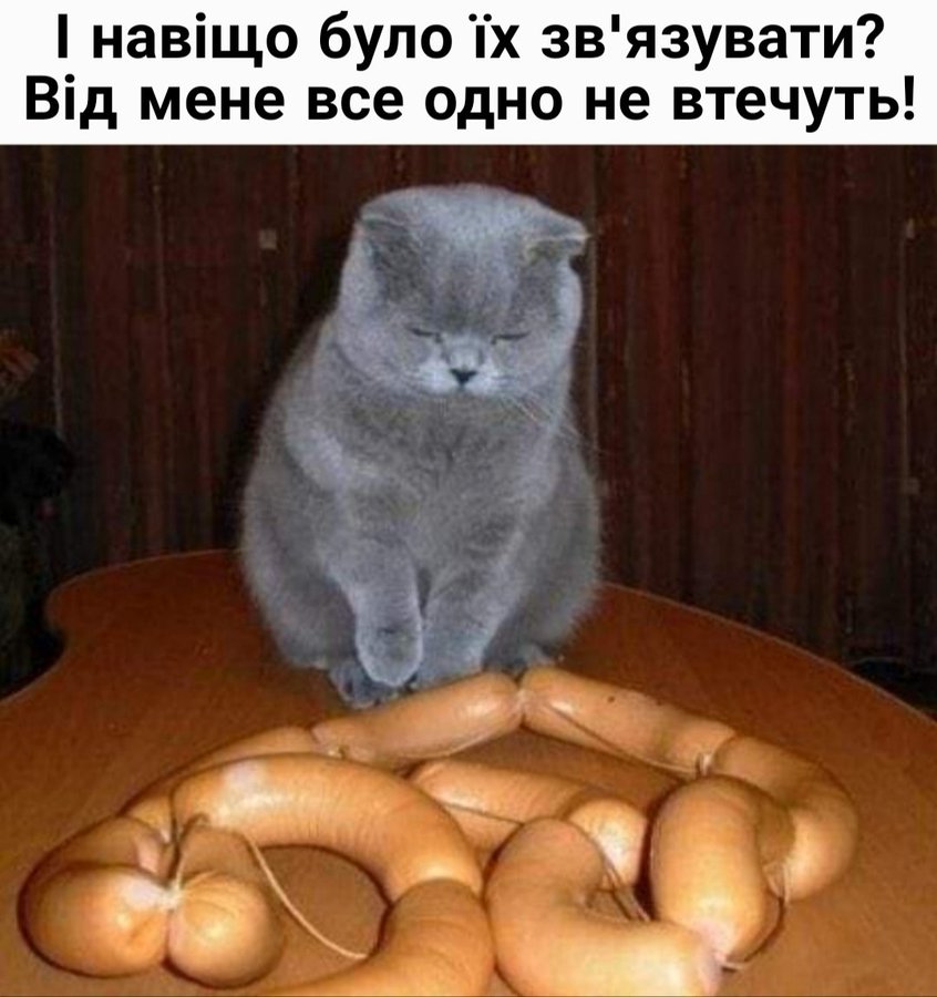 🐾 Анекдоти про тварин