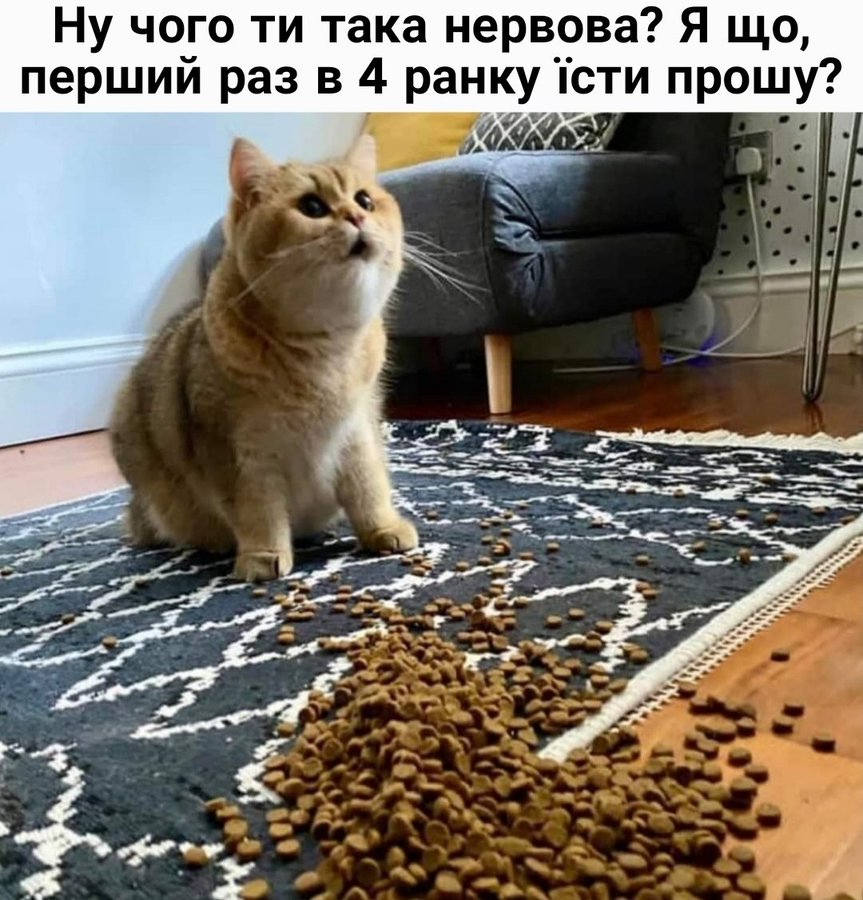 🐾 Анекдоти про тварин